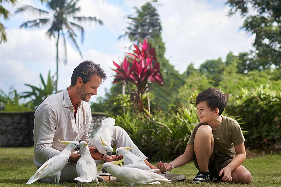 Breakfast with Orangutan & Elephant Mud Fun – Without Hotel Return Transfer