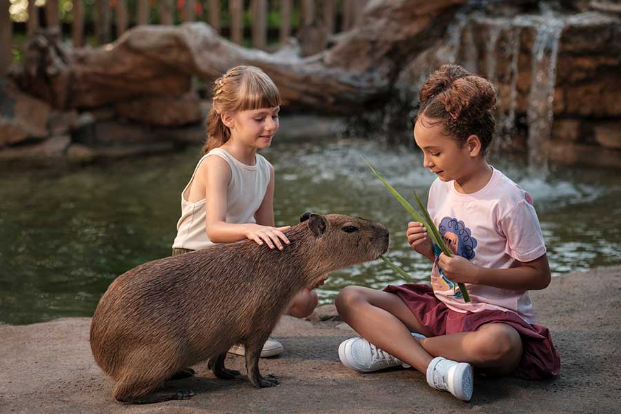 Brunch With Capybara