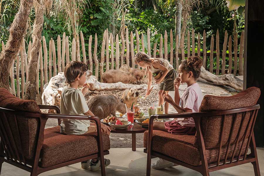Breakfast With Orangutan & Brunch With Capybara - Image 4