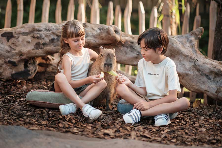 Breakfast With Orangutan & Brunch With Capybara - Image 3