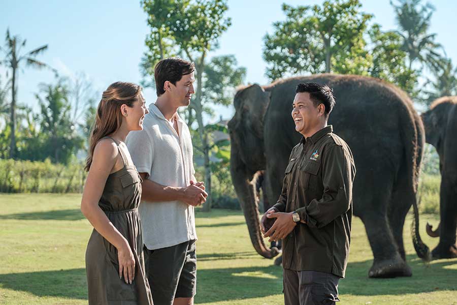 Elephant Explorer - Image 2