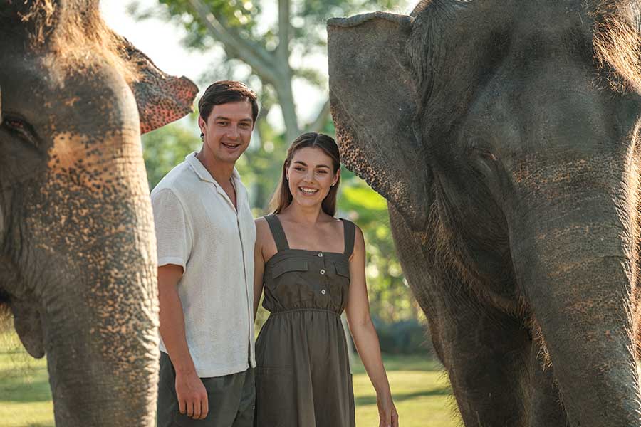 Elephant Explorer & Breakfast With Orangutan