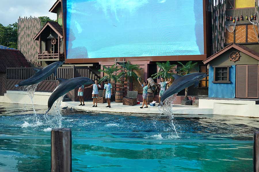 Marine Safari Bali