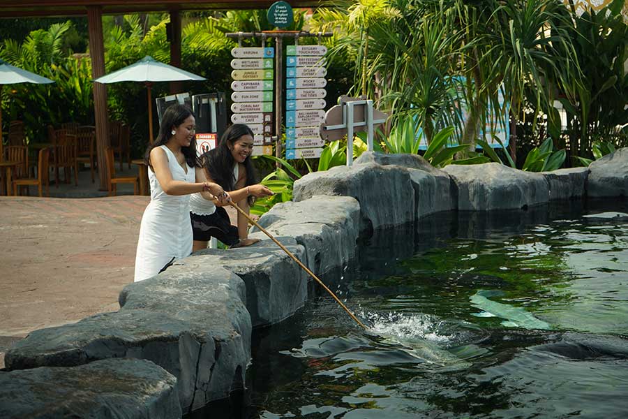 Marine Safari Bali - Image 2