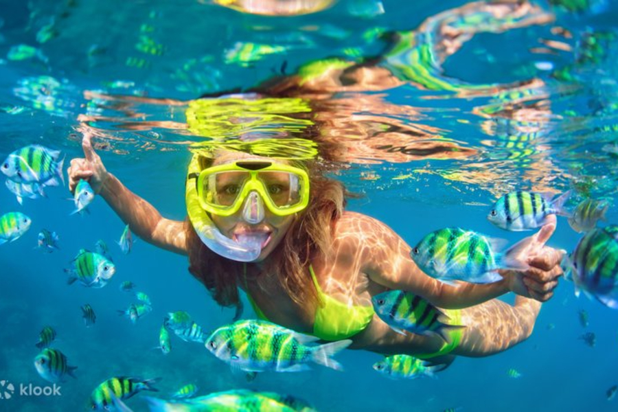 Bali Snorkeling Tour - Image 4