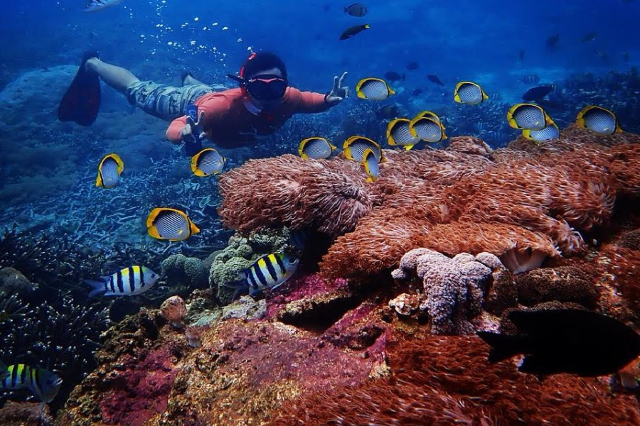 Bali Snorkeling Tour - Image 6