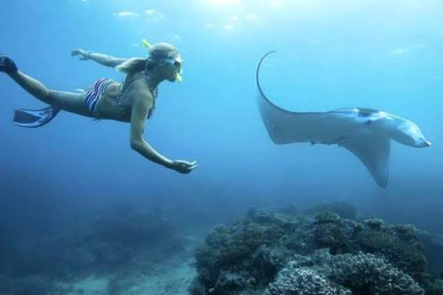 Nusa Penida Snorkeling Package